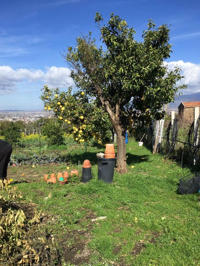 Desiderio D'Ammore Villa Corbara  Dış mekan fotoğraf