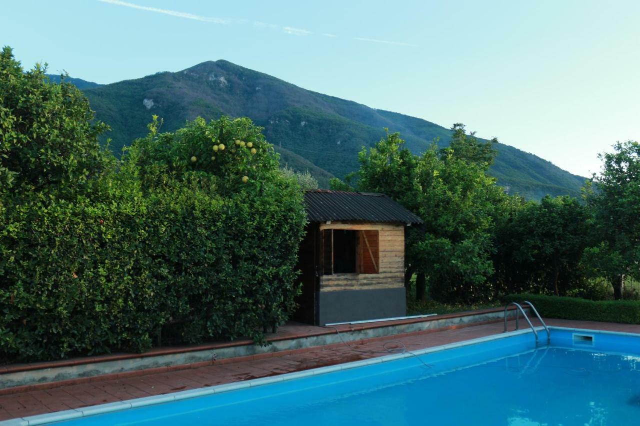 Desiderio D'Ammore Villa Corbara  Dış mekan fotoğraf