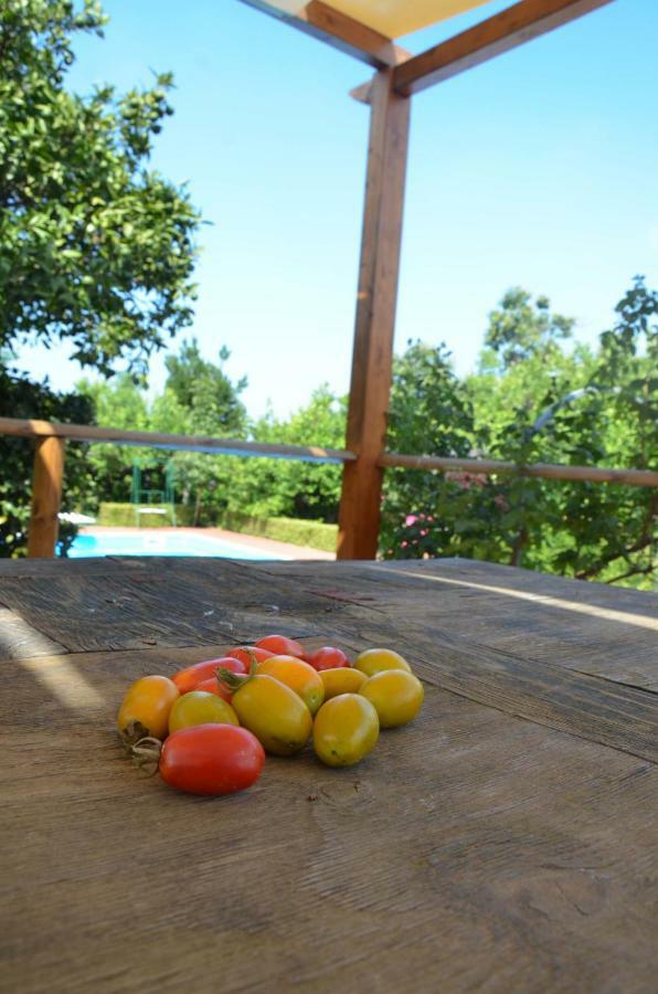 Desiderio D'Ammore Villa Corbara  Dış mekan fotoğraf