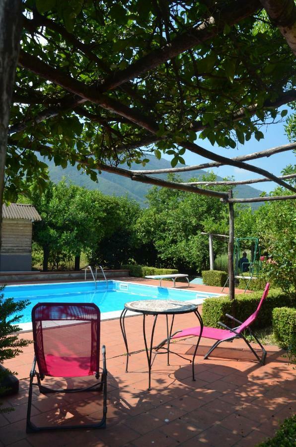 Desiderio D'Ammore Villa Corbara  Dış mekan fotoğraf