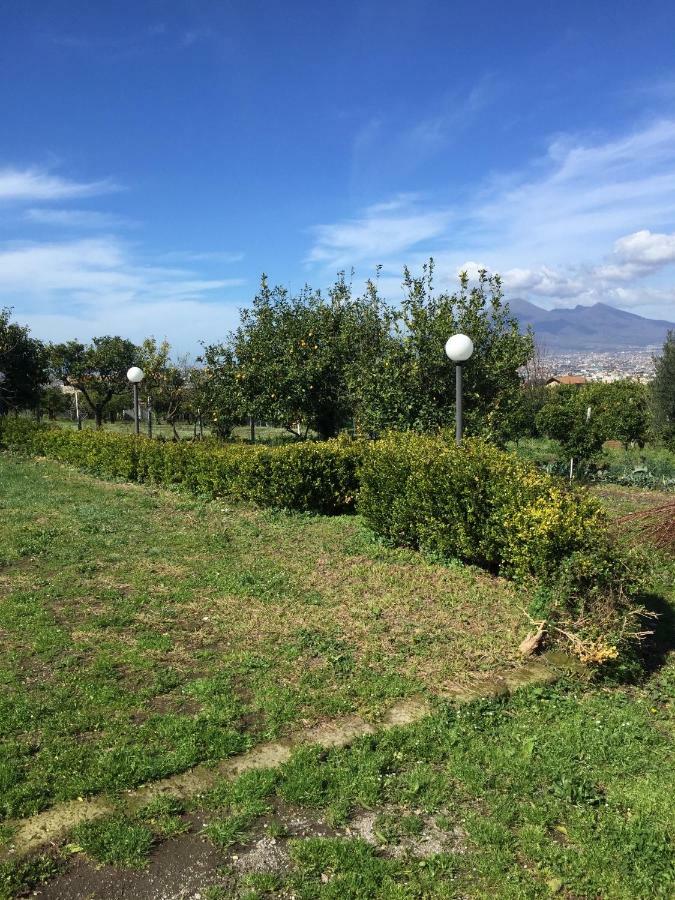 Desiderio D'Ammore Villa Corbara  Dış mekan fotoğraf