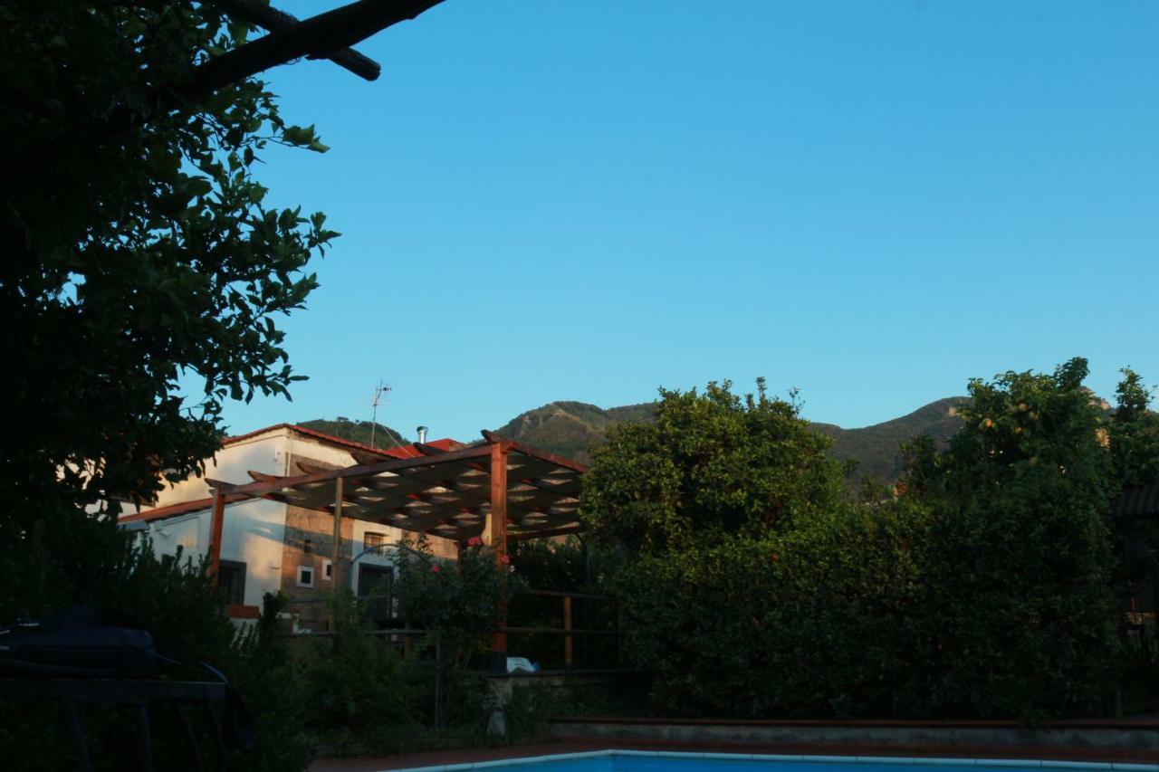 Desiderio D'Ammore Villa Corbara  Dış mekan fotoğraf